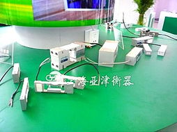 亞津傳感器秤 100t稱重磅與河南模塊秤的計算機(jī)軟硬件技術(shù)開發(fā)